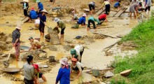 Ảnh minh họa: vinanren.vn