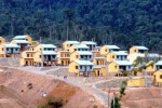 Khu TÐC thủy điện A Vương Pache Palanh (huyện Ðông Giang) chơ vơ bên sườn núi, không có đất sản xuất