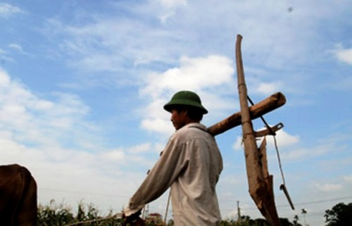 Việt Nam Xanh - Ruộng đất hoang hóa, 70% lao động nông thôn ‘ào’ ra thành phố (Hình 3).