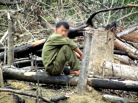 Việt Nam Xanh - Rừng xanh thành… rừng đen (Hình 4).