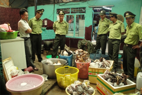 Việt Nam Xanh - Tham nhũng tạo cơ hội cho buôn lậu động vật quý hiếm (Hình 2).