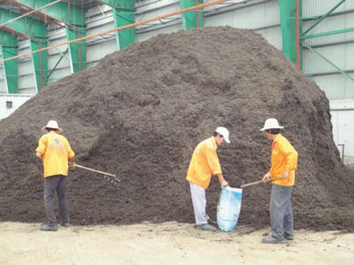 Sản xuất phân compost từ chất thải tại Công ty VWS. Ảnh: TRƯƠNG HẰNG