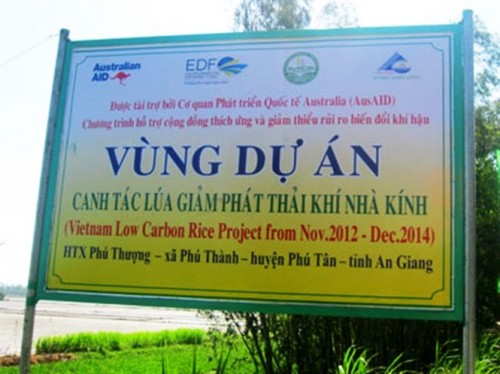 Dự án trồng lúa giảm khí thải (Ảnh: nongnghiep.vn)