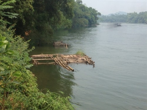 Những bè cá mục nát, dập dềnh trên mặt sông (Ảnh: nongnghiep.vn)