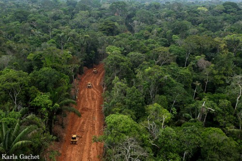 Đường xuyên rừng Amazone (Ảnh: mongabay.com)