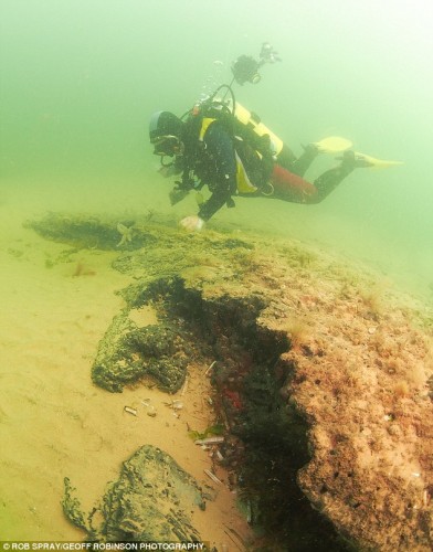 Khu rừng 10.000 năm tuổi được nữ thợ lặn Dawn Watson phát hiện ra khi lặn ở độ sâu 300 mét tại ngoài khơi bờ biển Norfolk. (Ảnh: Dailymail)