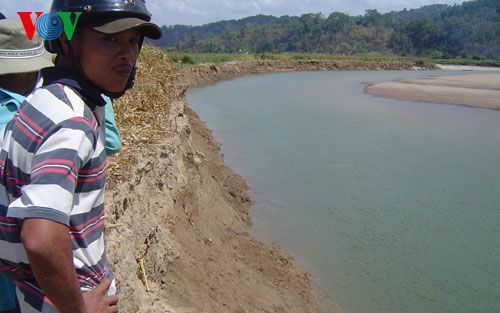 Một trong những bờ rông của huyện Krông Nô bị sạt lở sâu vì nạn khai thác cát