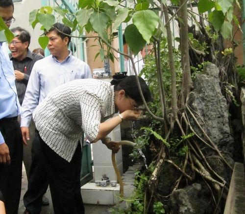 Bà Nguyễn Thị Quyết Tâm uống nước từ giếng khoan trong buổi giám sát tại phường Bình Chiểu, quận Thủ Đức và sáng 12-5. (Ảnh: Gia Minh)