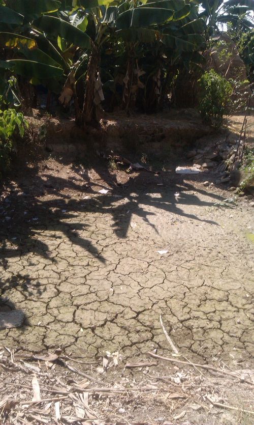 Ao của hộ gia đình Ông Nguyễn Văn Đức ở thôn Cương Thịnh cũng cạn khô. (Ảnh: Thanh Tâm)