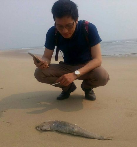PV Báo Người Lao Động tại hiện trường cá chết ở biển Quảng Bình