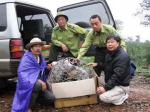 Các cán bộ kiểm lâm cùng chú voọc chà vá trước khi thả về rừng ((Ảnh: http: luutruvn.gov.vn))