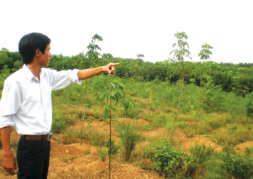 Chung một tình yêu với đất rừng Quảng Trị