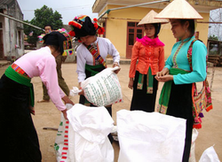 5 địa phương được hỗ trợ gạo kỳ giáp hạt