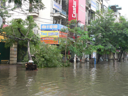 Sổ tay ứng phó BĐKH cho cộng đồng đô thị