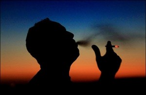 2/3 số ca tử vong là do lối sống