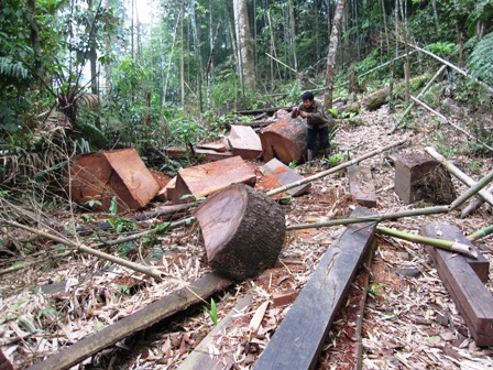 WWF khởi xướng cuộc thi phim ngắn về con người và thiên nhiên
