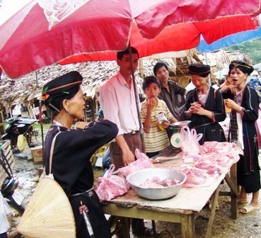 Trả nợ rừng Chạm Chu (Kỳ cuối)
