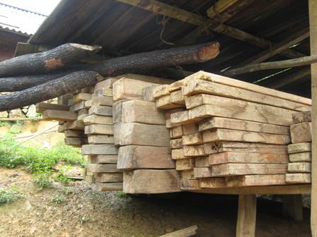 Khu bảo tồn loài và sinh cảnh Mù Cang Chải trước nguy cơ bị tàn phá