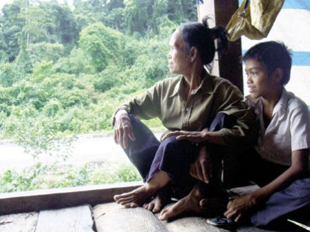 Quảng Bình: Dân nghèo mong có đất rừng