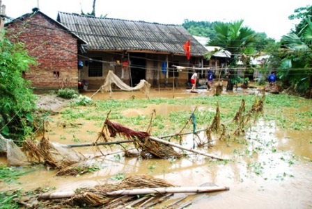 Mưa lớn gây thiệt hại ở nhiều tỉnh