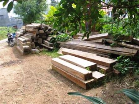 Quảng Ngãi triển khai bảo vệ rừng và bảo tồn thiên nhiên
