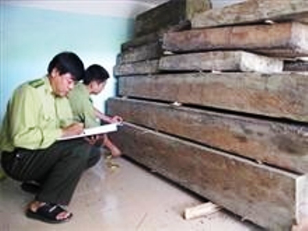 Bất lực trước nạn phá rừng ở KBTTN Pu Canh