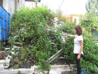 Thanh Hóa: Bãi tập kết quặng gây ô nhiễm
