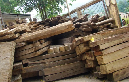 Đề xuất cơ chế quản lý gỗ nhập khẩu từ Lào
