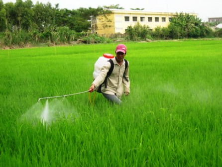 Sẽ quy định trách nhiệm của người sử dụng thuốc bảo vệ thực vật