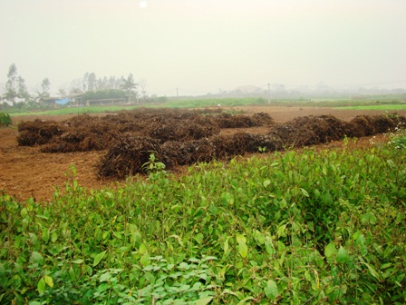 Hưng Yên chuyển mục đích sử dụng 272,79 ha đất