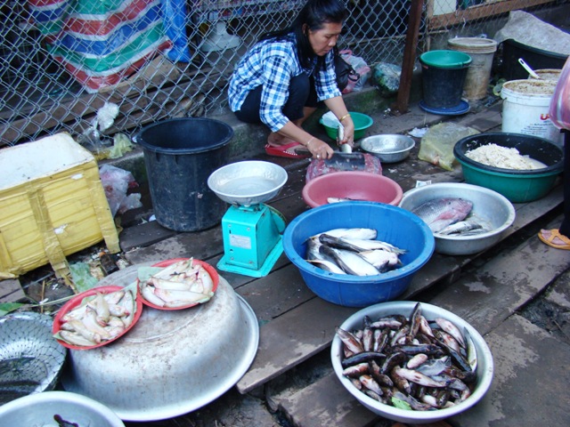 Thăm chợ cá ven sông Mê Kông trên đất Lào
