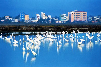 Việt Nam – Đan Mạch hợp tác hướng tới tăng trưởng xanh