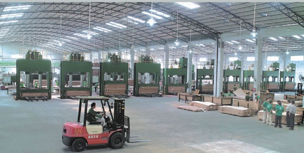 Ngành chế biến gỗ của Trung Quốc khiến rừng thế giới thiệt hại nặng nề