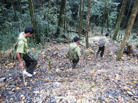 Phú Yên chấn chỉnh hoạt động kiểm lâm