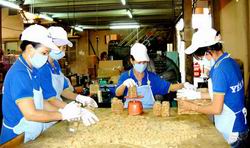 Phê duyệt Chiến lược quốc gia về an toàn thực phẩm