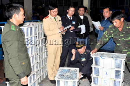 Thu hơn 6 tấn động vật hoang dã trái phép