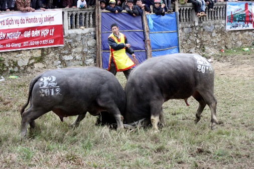 060212_PSA_choitrau1