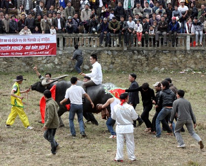 060212_PSA_choitrau5