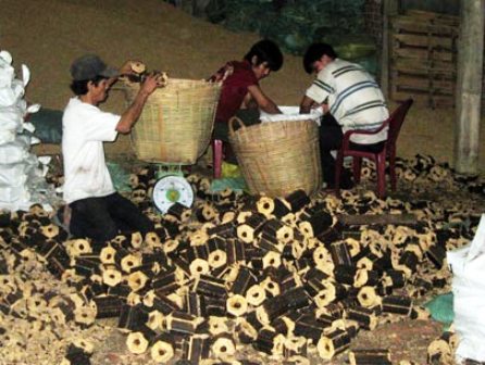 Sản xuất củi từ… trấu