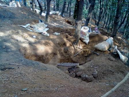 190312_TN_rungthong1