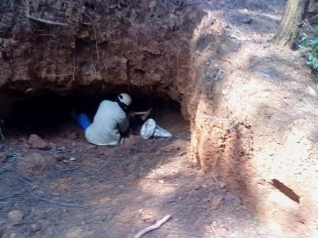 190312_TN_rungthong2