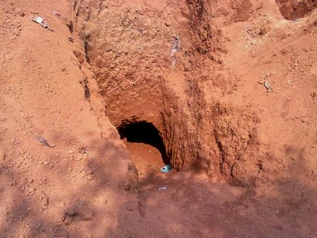 190312_TN_rungthong3