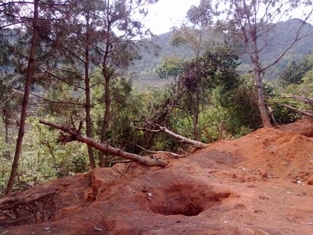 190312_TN_rungthong6