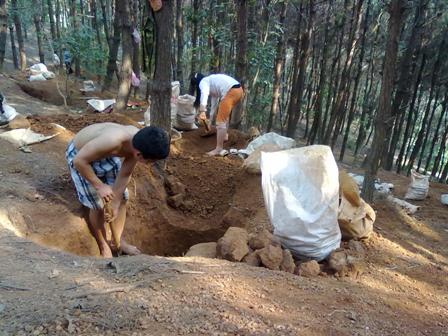 190312_TN_rungthong8