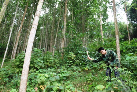 Keo vàng, cọ bạc và nhà tỉ phú tương lai