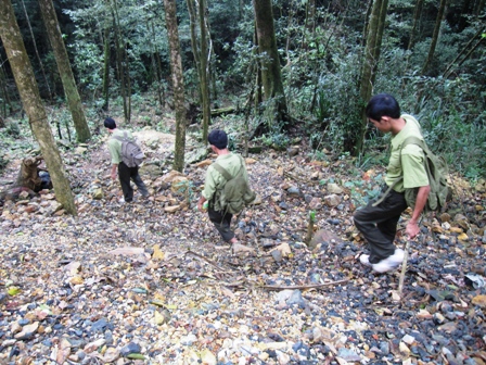 Bà Rịa – Vũng Tàu: Tăng cường ứng dụng công nghệ thông tin trong lực lượng kiểm lâm