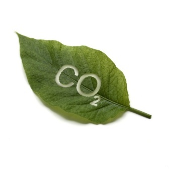 Hàn Quốc thông qua cơ chế mua bán quyền phát thải khí CO2
