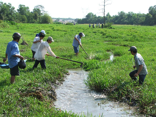 Cần tăng kinh phí cho sự nghiệp bảo vệ môi trường