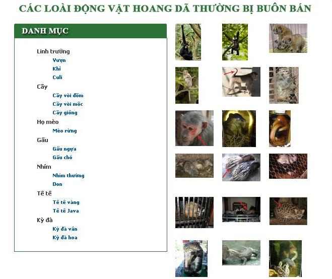 Ra mắt tài liệu định dạng loài trực tuyến giúp bảo vệ ĐVHD