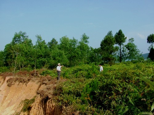 Thừa Thiên – Huế đầu tư bảo vệ và phát triển rừng Khu BTTN Phong Điền